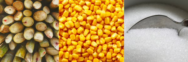 Sugar & Ethanol Image